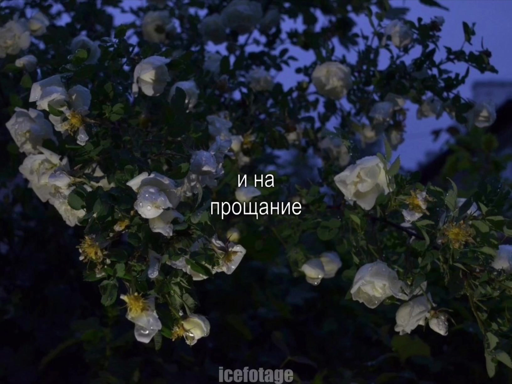 @музыка для липсингов
