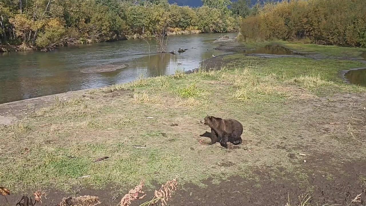 @Не повторять !!!