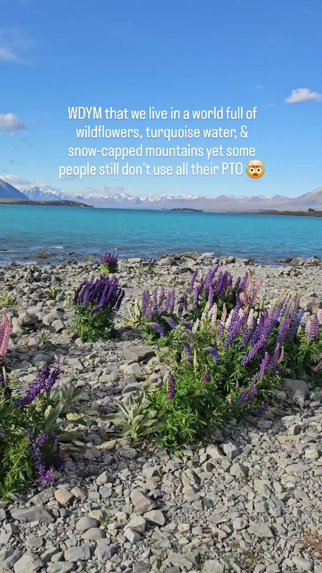 @The Homebody Tourist
