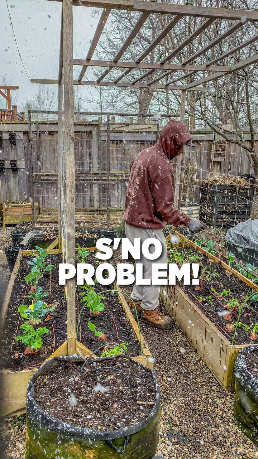 @Planted in the Garden
