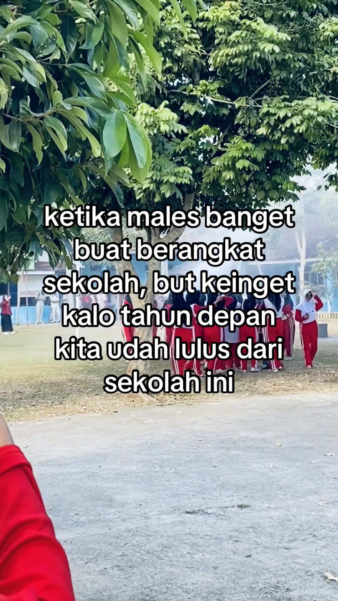 @anglrhmdni