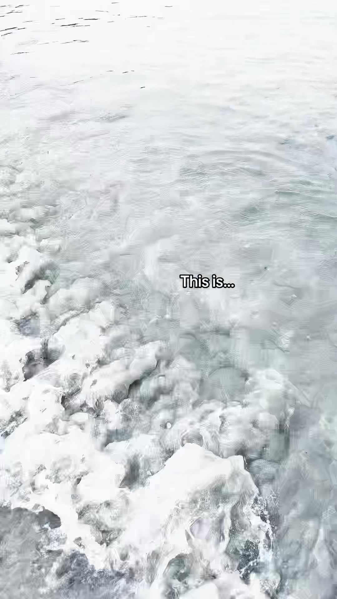 @𝒢𝒶𝒷𝓇𝒾ℯ𝓁𝓁ℯ ᥫ᭡