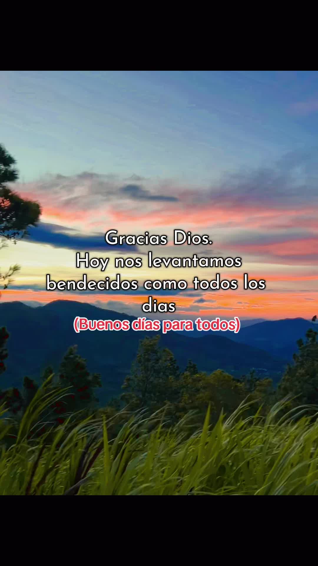 @✝️🍀𝐅𝐒 𝐎𝐒𝐂𝐀𝐑🐻✅