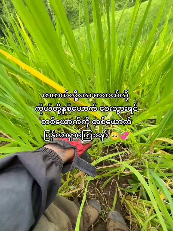 @𝐍𝐠𝐚 𝐓𝐚𝐧𝐠
