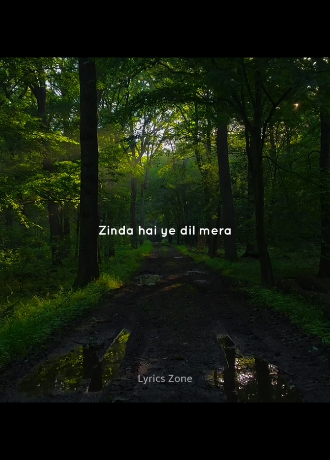 @LyricsZone