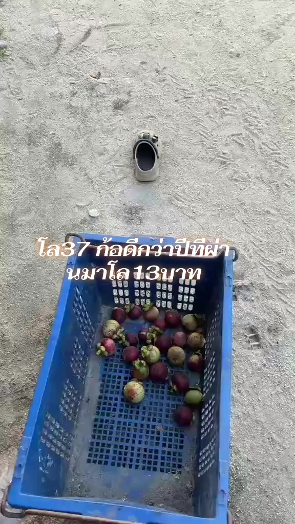 @นูรีซัน นรา