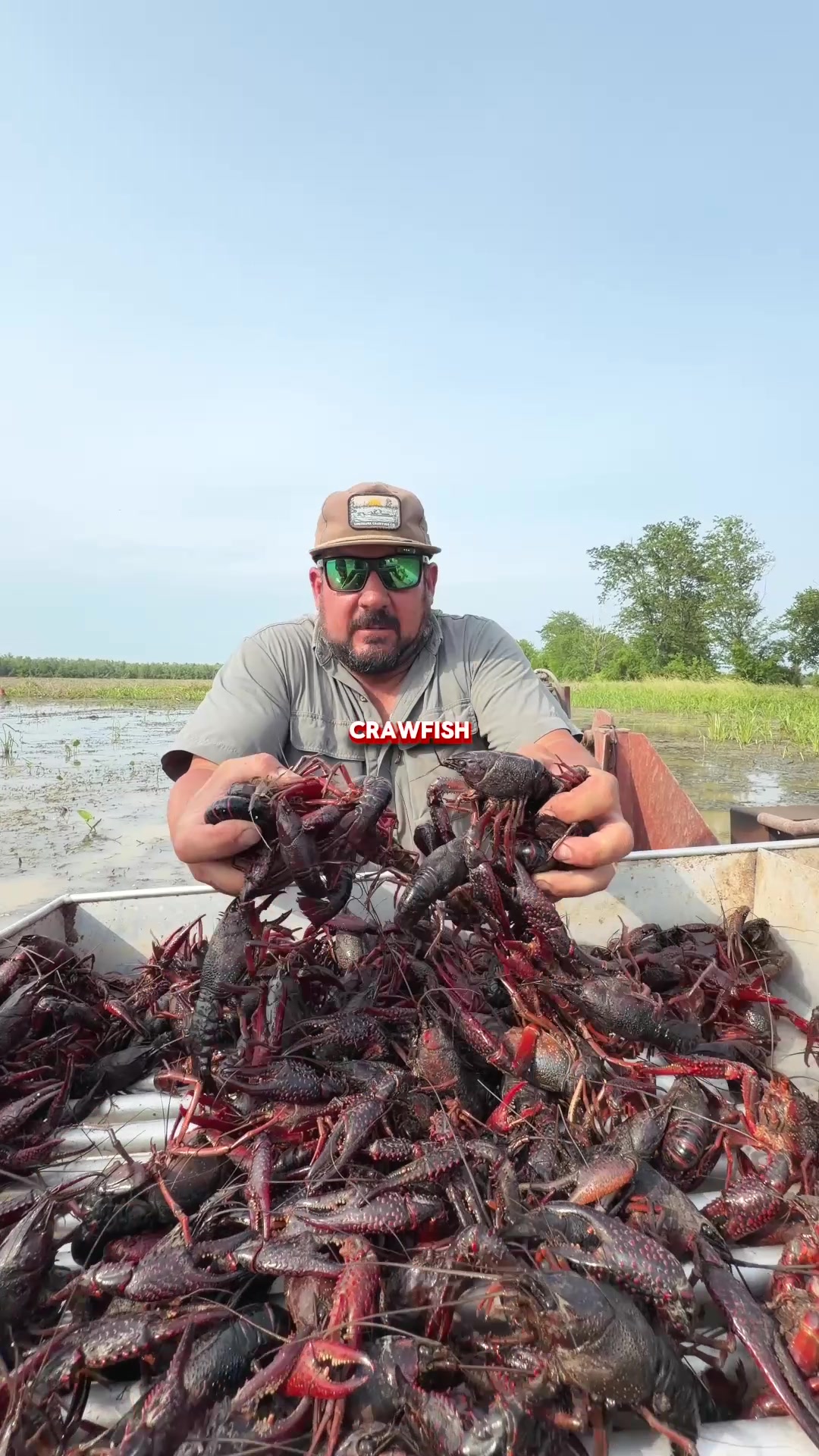@louisianacrawfishco