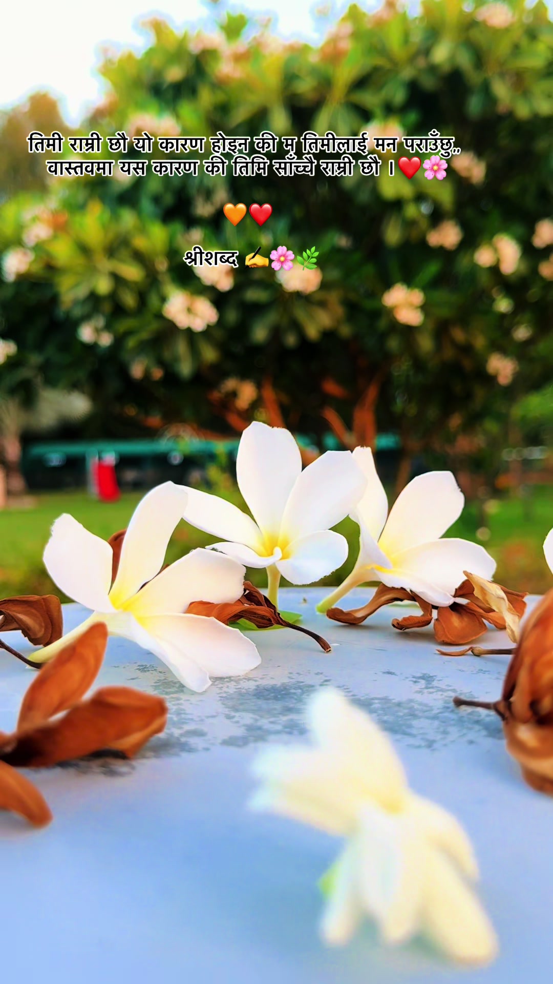 @🌿श्रीशब्द….✍️🕊️🍁🍂