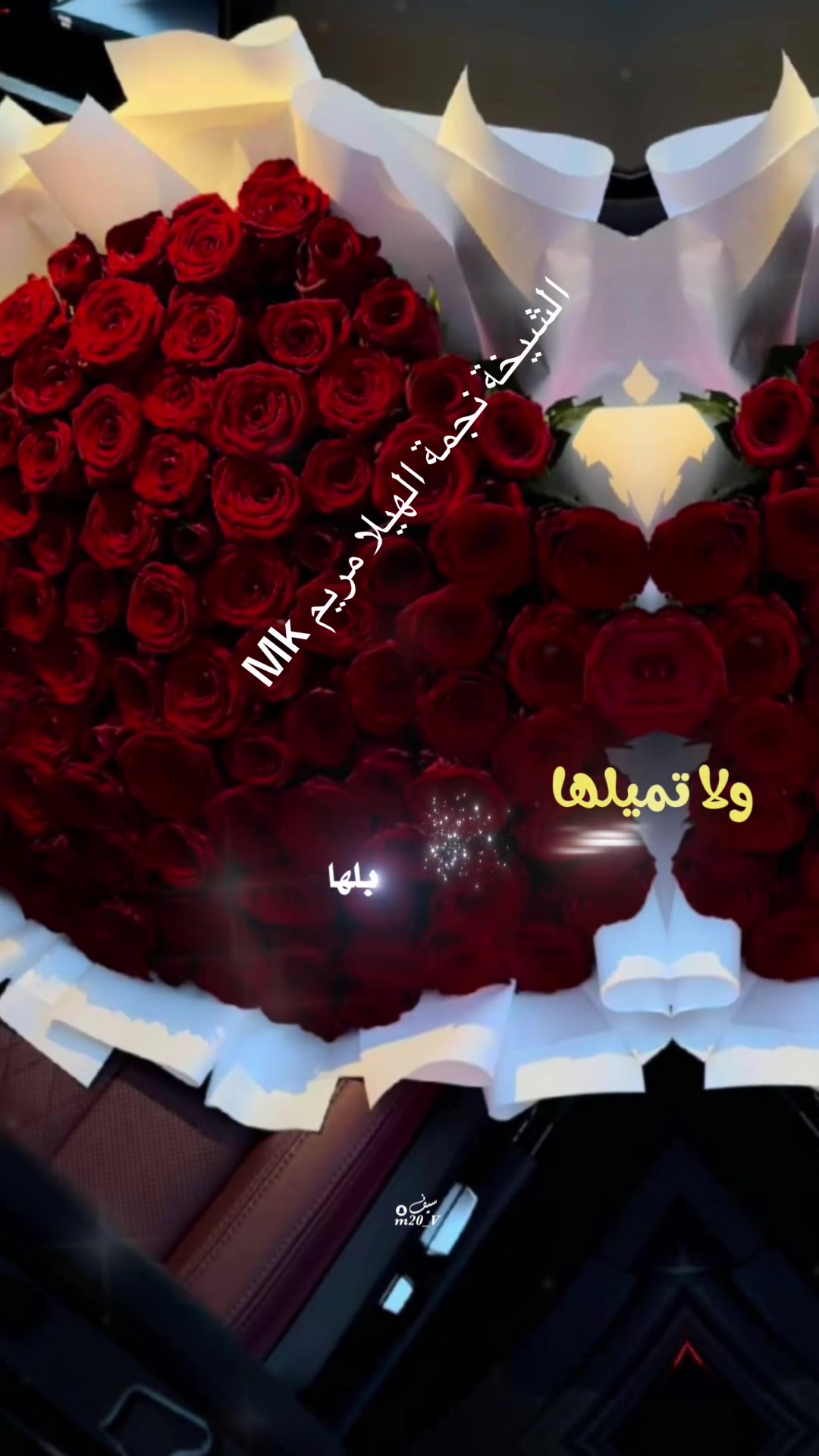 @⭐️⭐️⭐️نجمة الهيلا وبس ⭐️(١)⭐️
