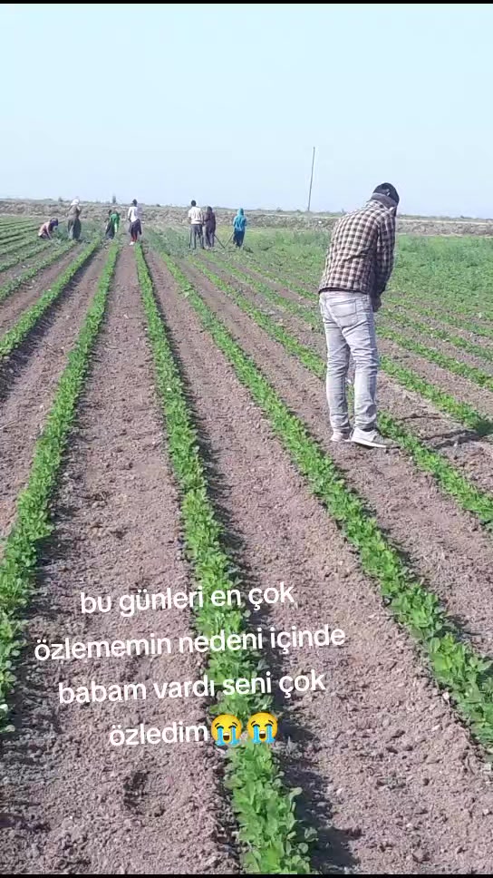 @Songül Pamuk