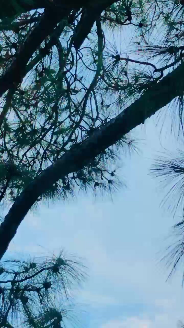 @raja afzal23
