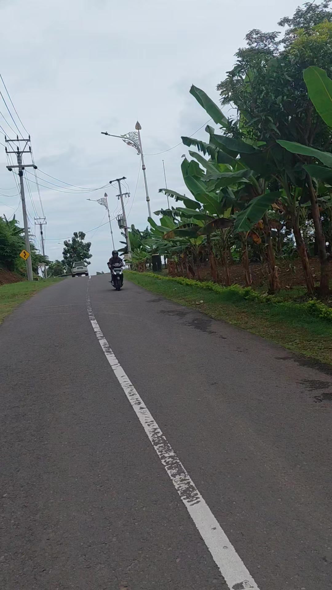 @Adhistiarini Lim