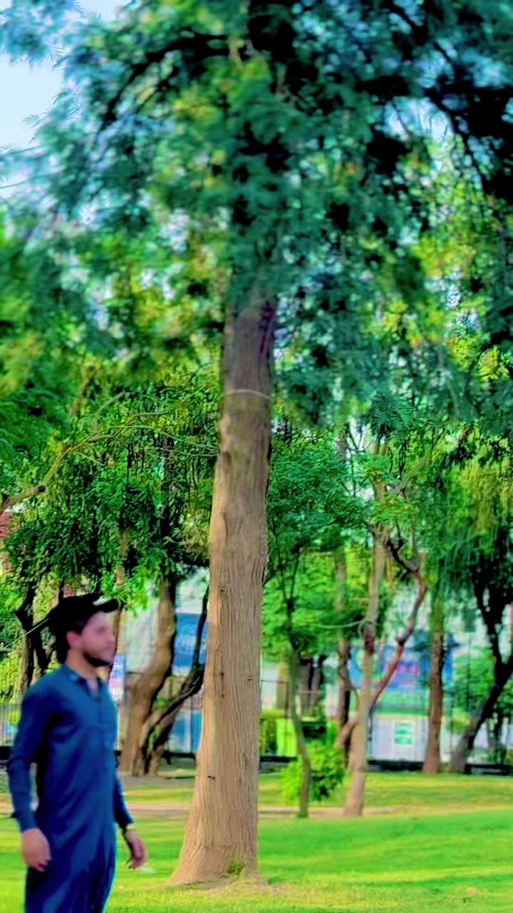 @✔️☀𝑀𝑎𝑙𝑖𝑘 𝑈𝑚𝑎𝑟☀🦅