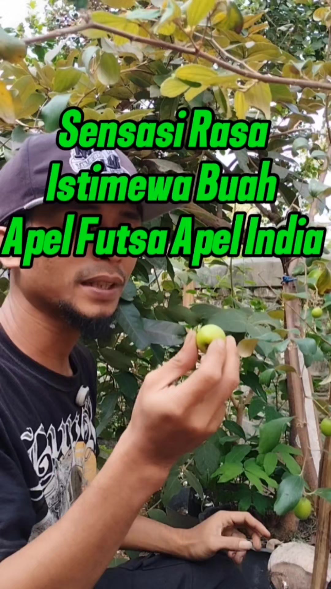 @Bukit Farming