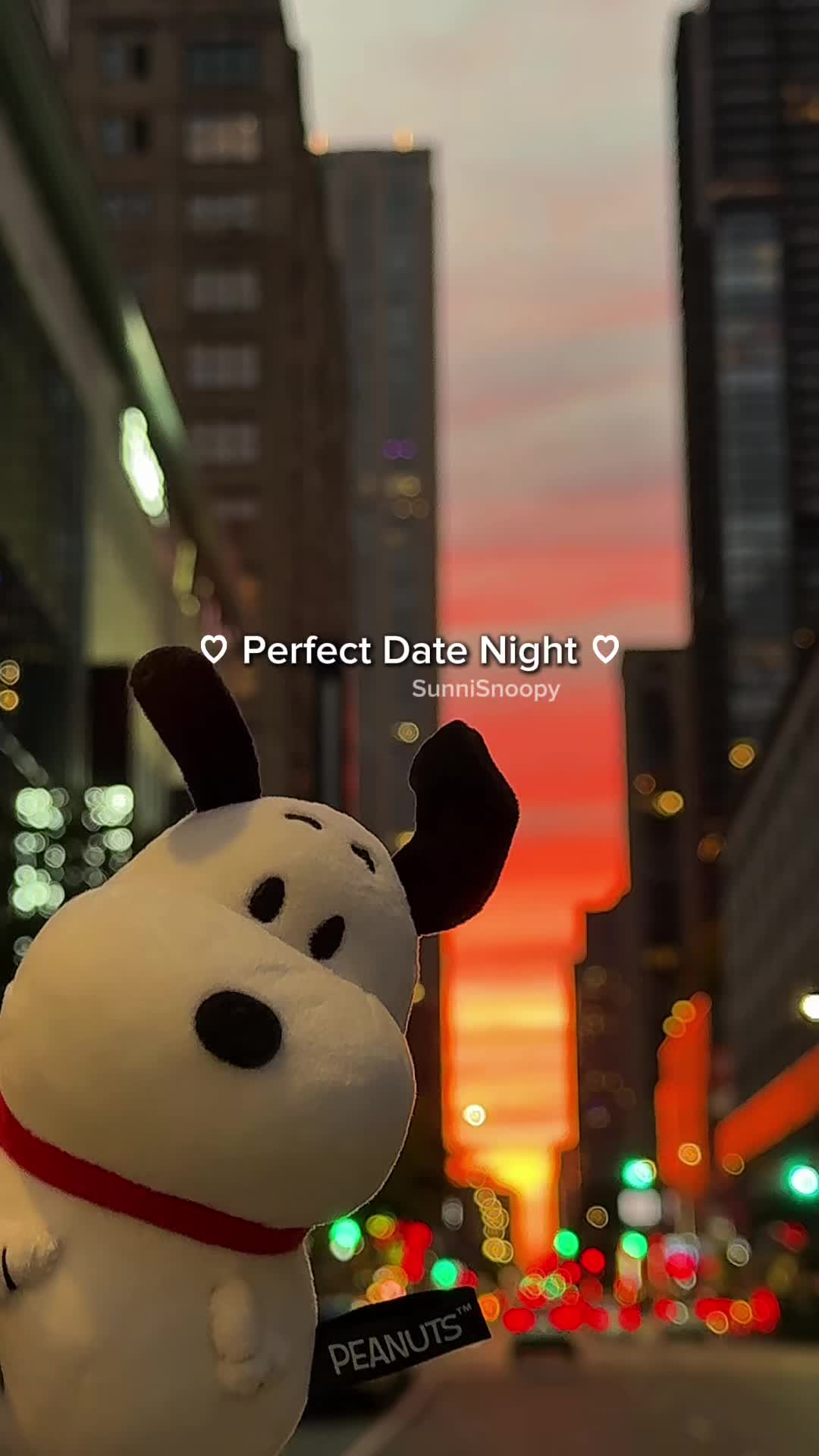 @SunniSnoopy | PEANUTS