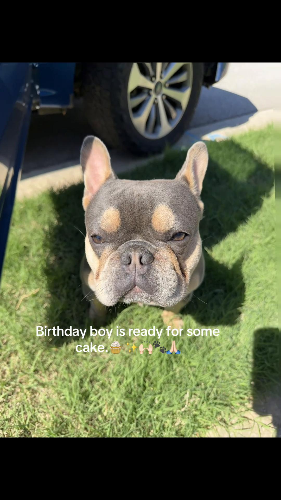 @CANELO & MAYA🐾🧡💜 ALVAREZ