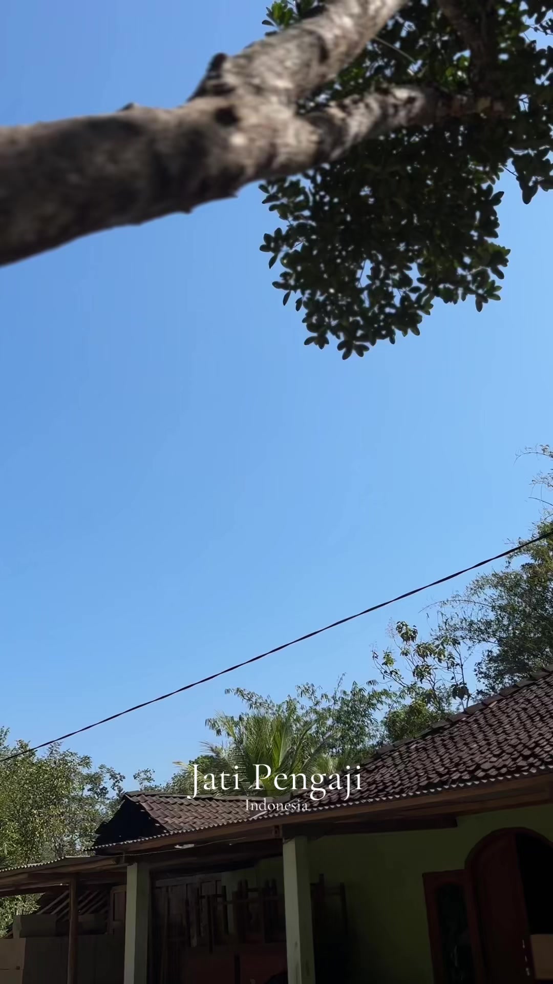 @Jati Pengaji