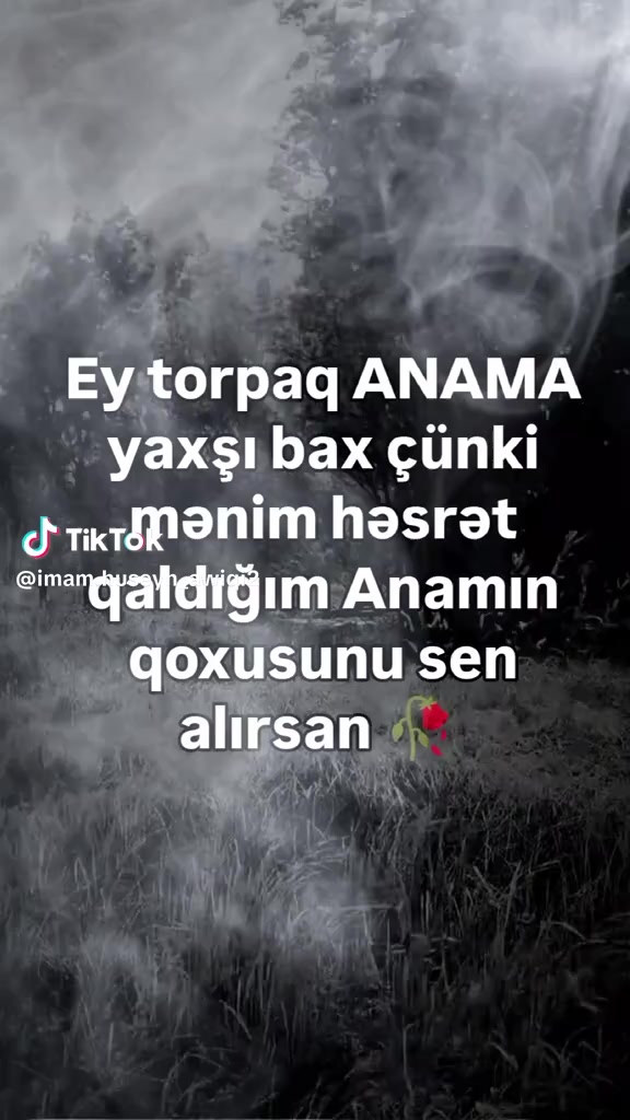 @Ramin Isgenderli