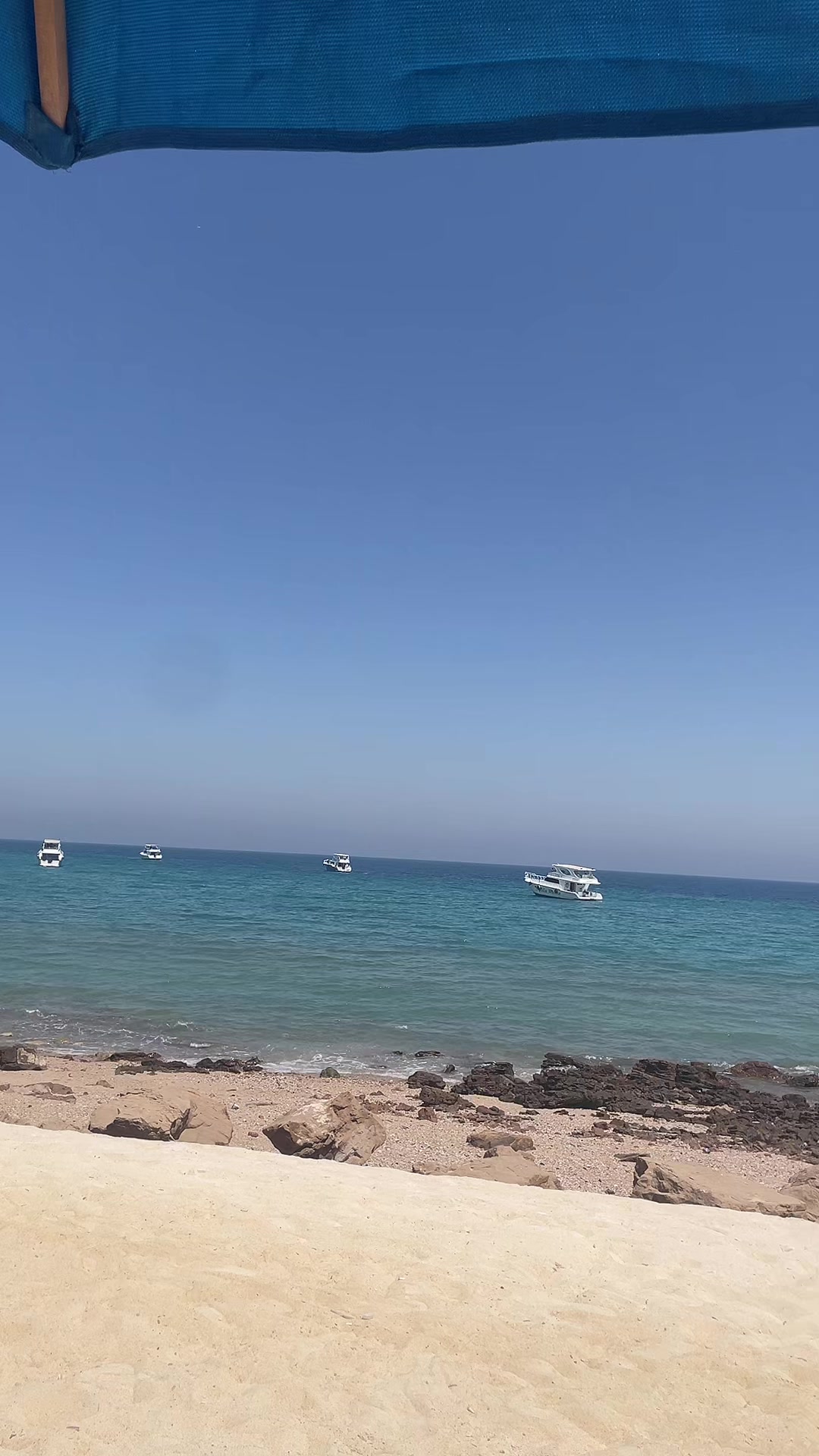 @كتاكيتو بني 🐣🐥