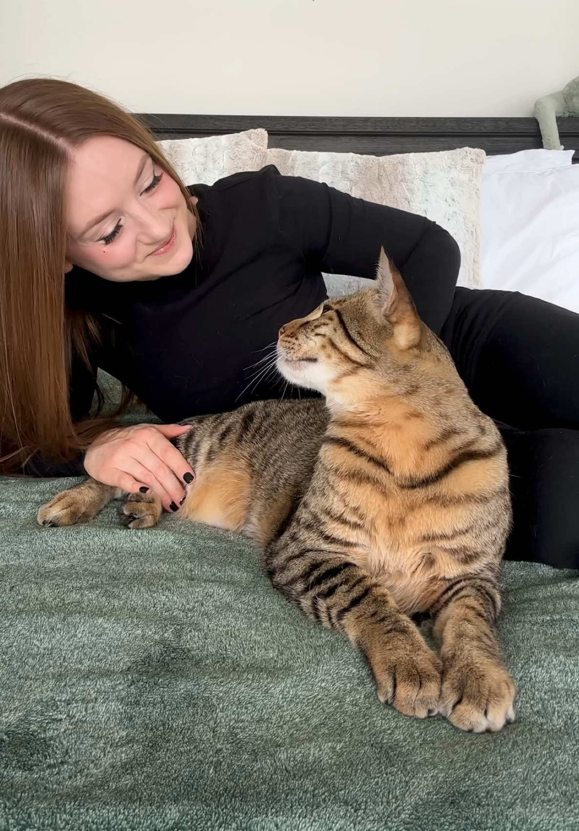 @dexterboycat 🐆♥️