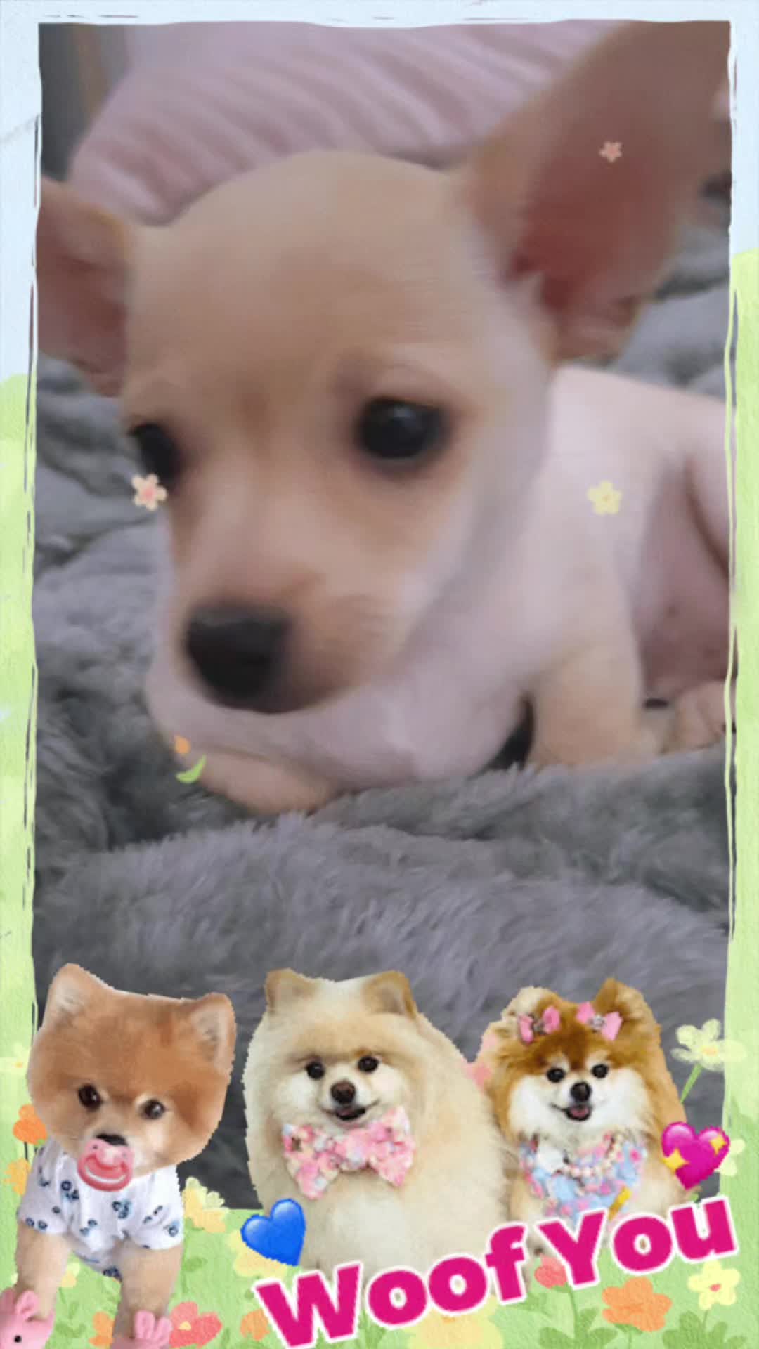 @๐บ๊ฅ๐บ ๐๐จ๐ฏ๐_๐๐ข๐ฑ๐ข ๐บ๊ฅ๐บ