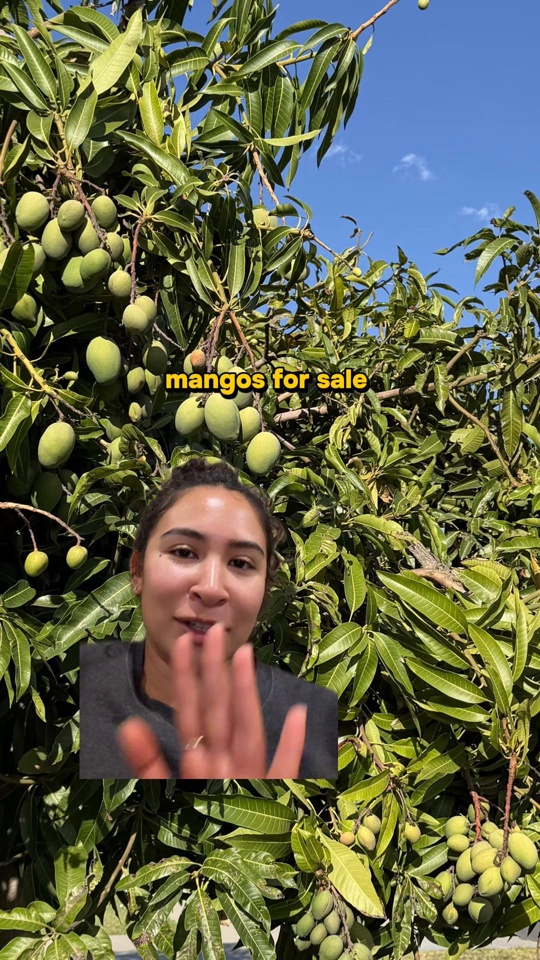 @vivalareg 🌞