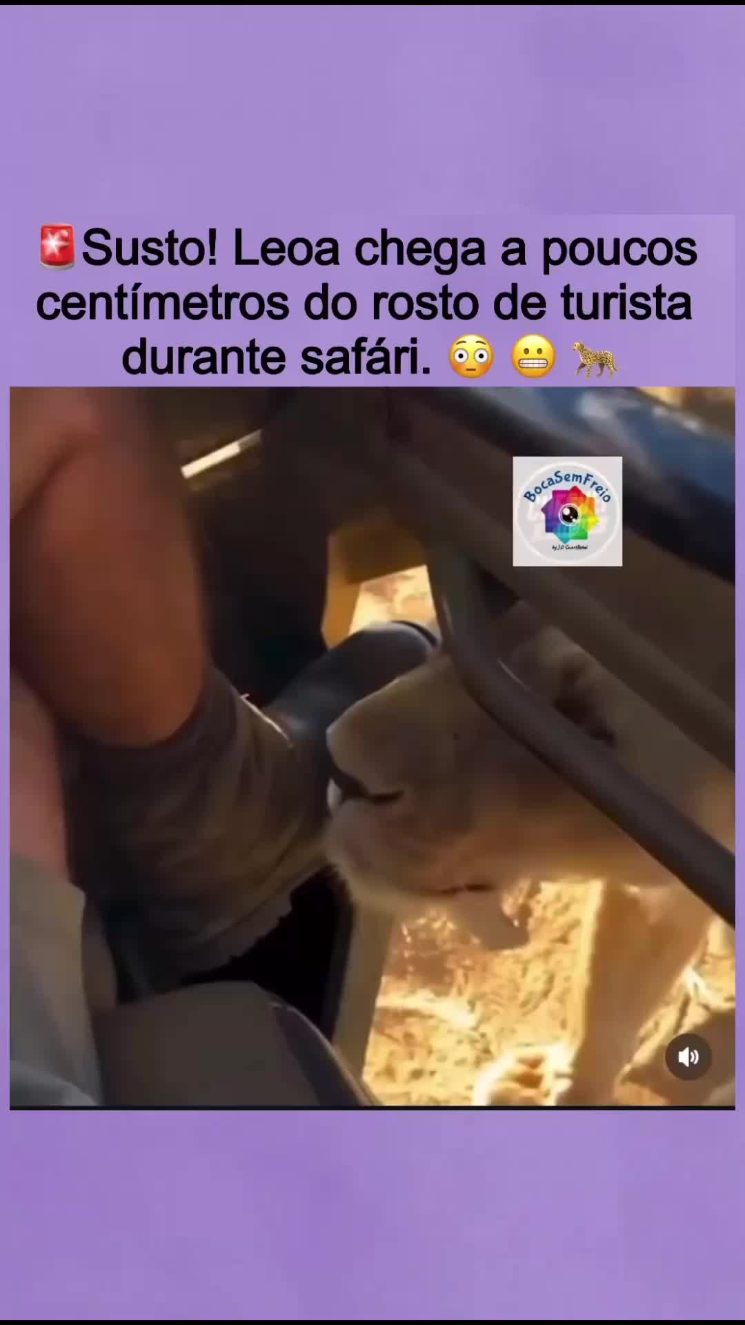 @@bocasemfreio