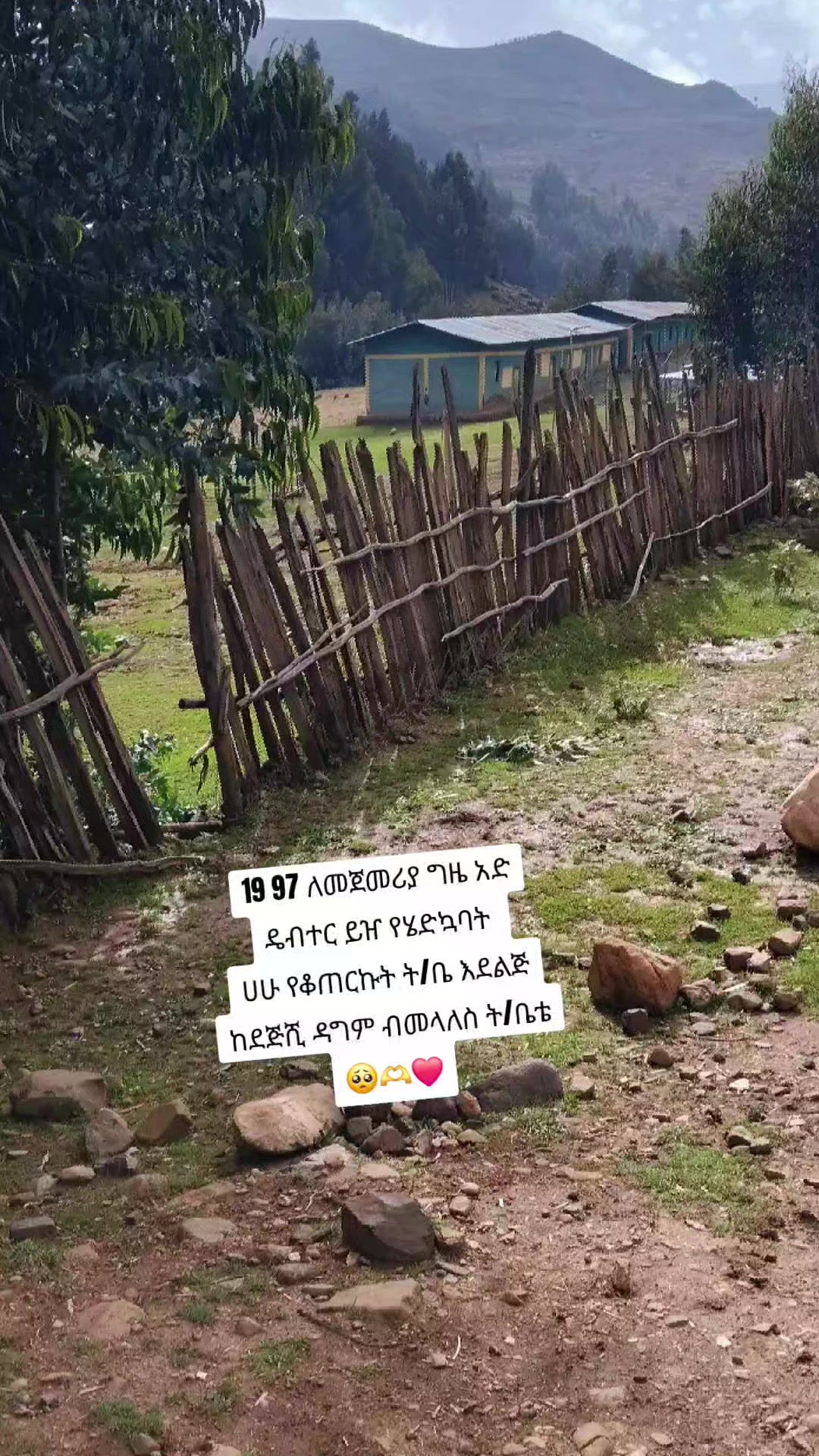 @Aylin🧕❤️wolloyewa🇵🇸🇹🇷🇪🇹