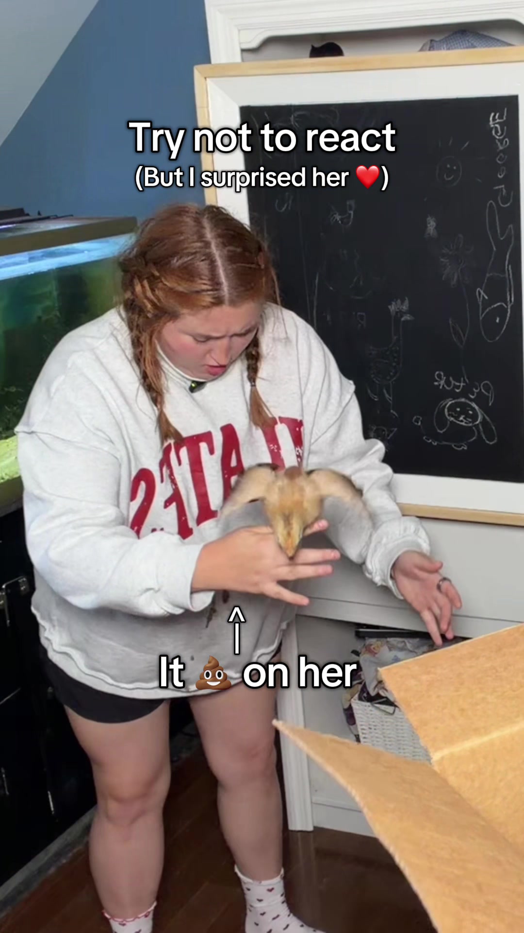 @dave and jaz smith