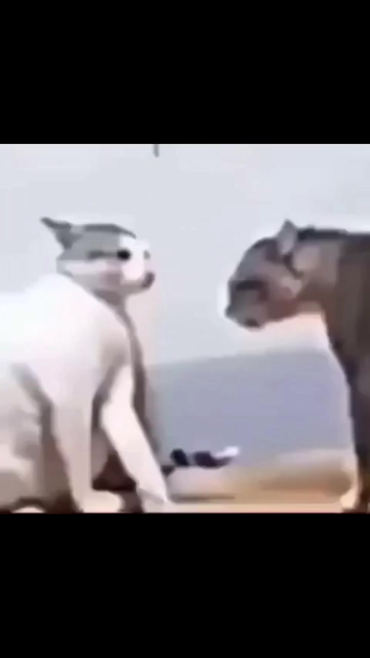 @JAYG4MESLol