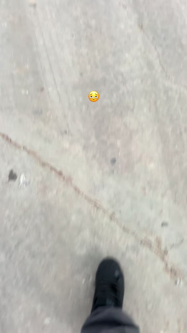 @Mininocturna🚀