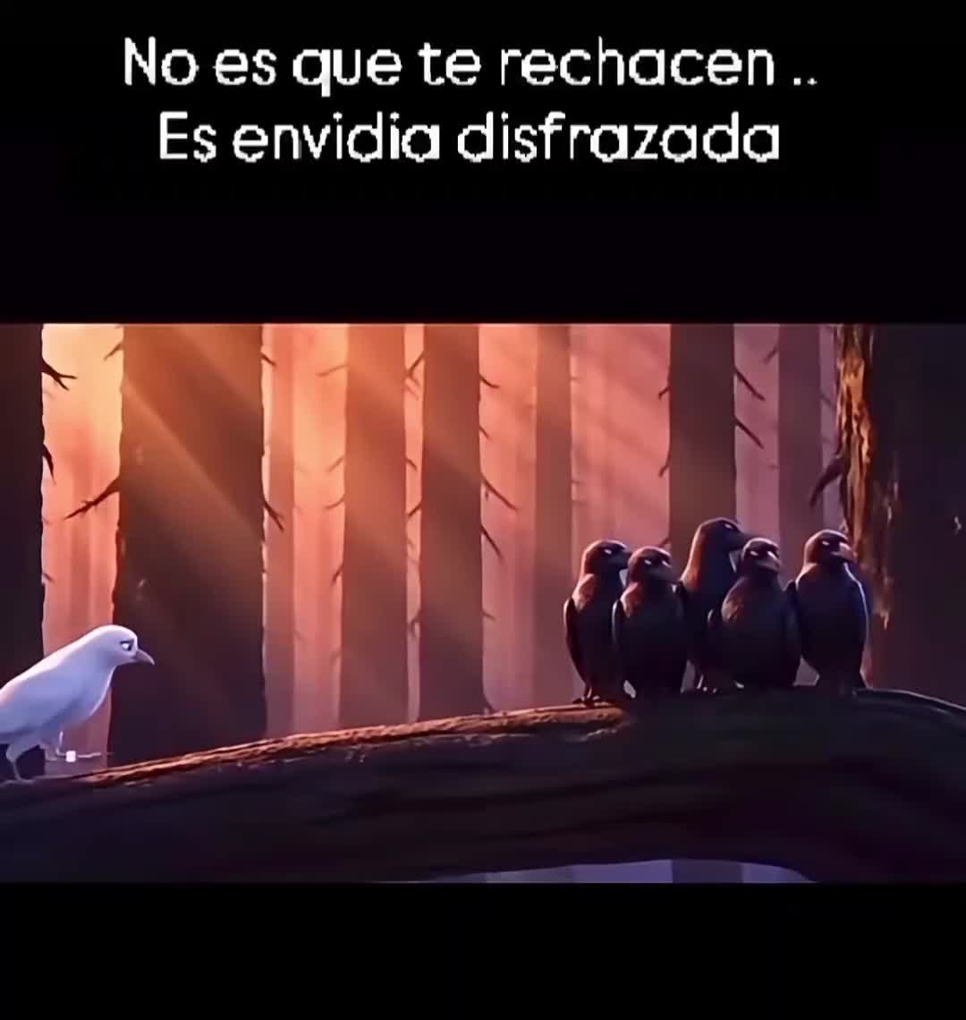 @NYODDS