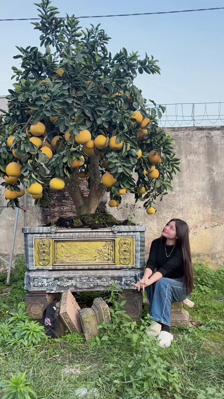 @Khổng La