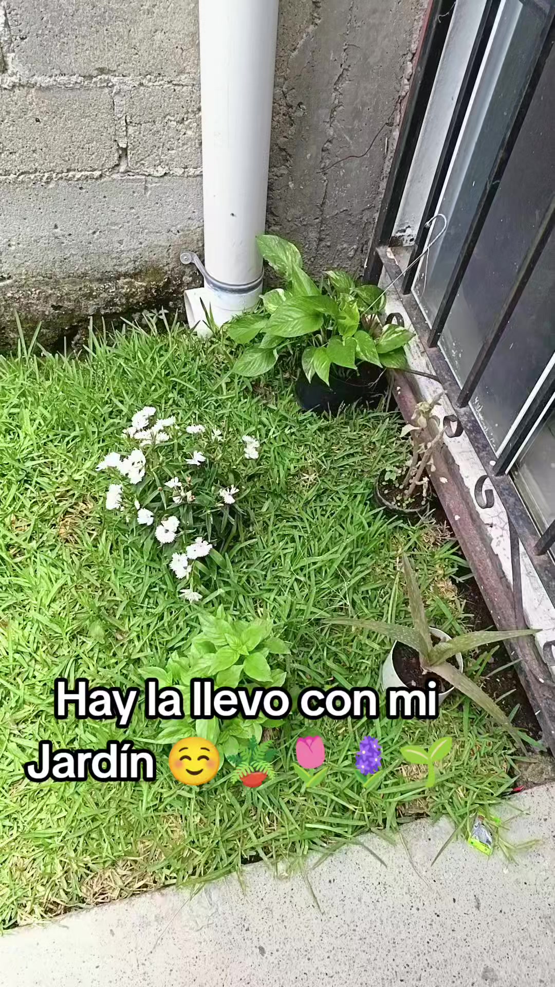 @SantosLiz🫰🏼