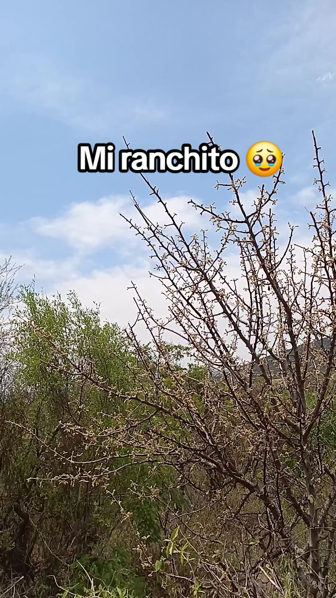 @🌹❤️🥰Candiiy😍💐🌻