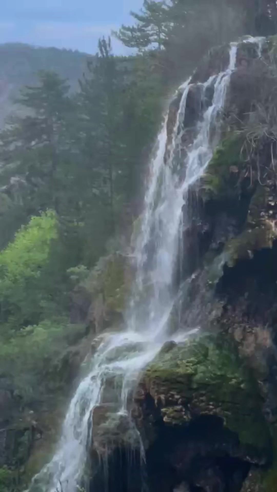 @ցս̈νεռ ժεร̧էȋօց̆lս