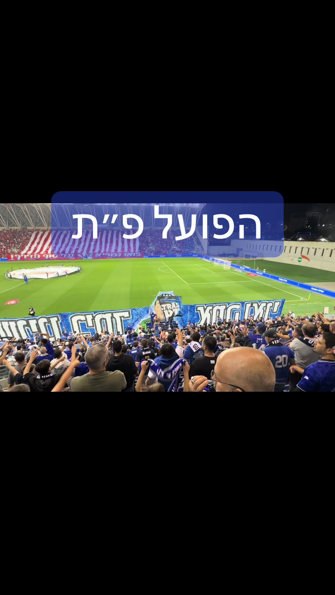 @אבי סלמון