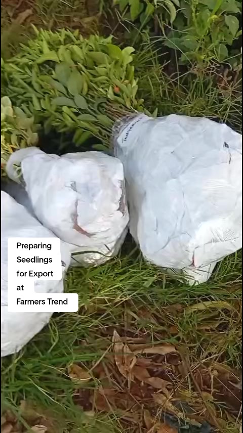 @FarmersTrend