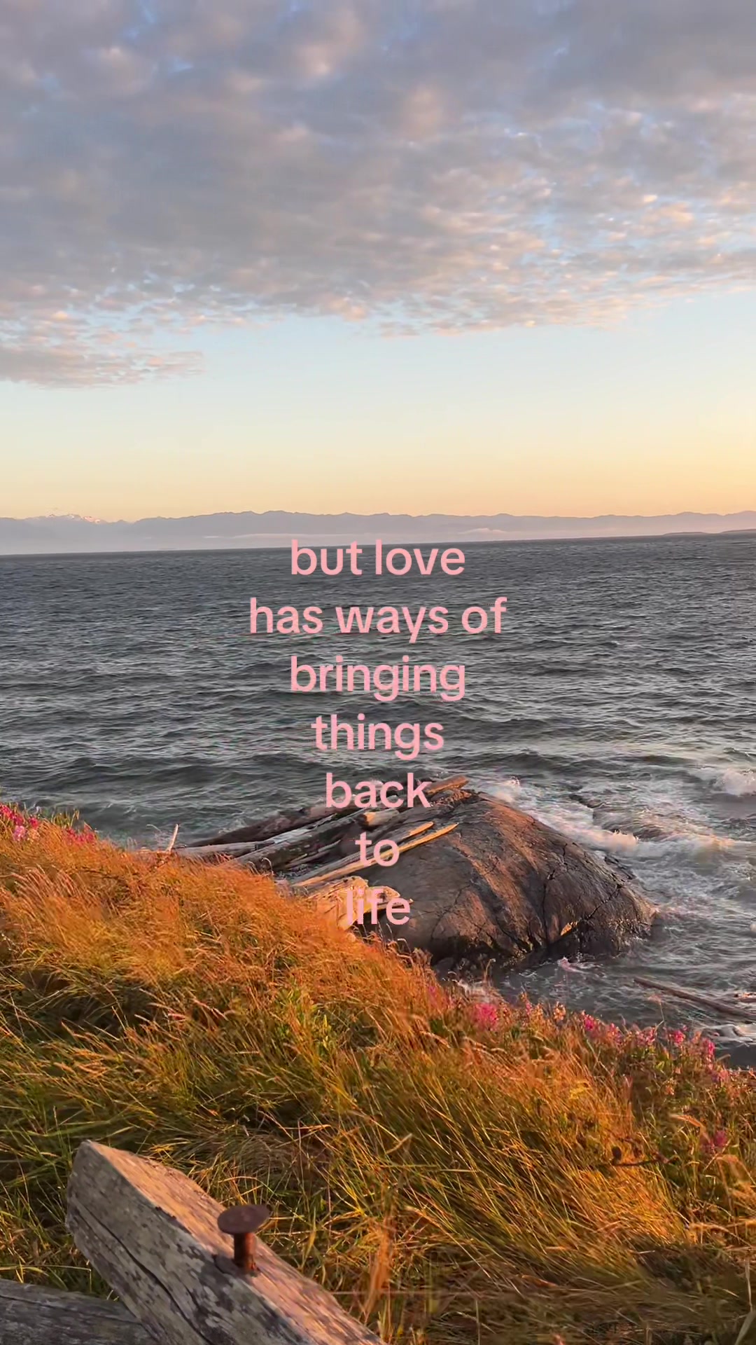 @tasha💌