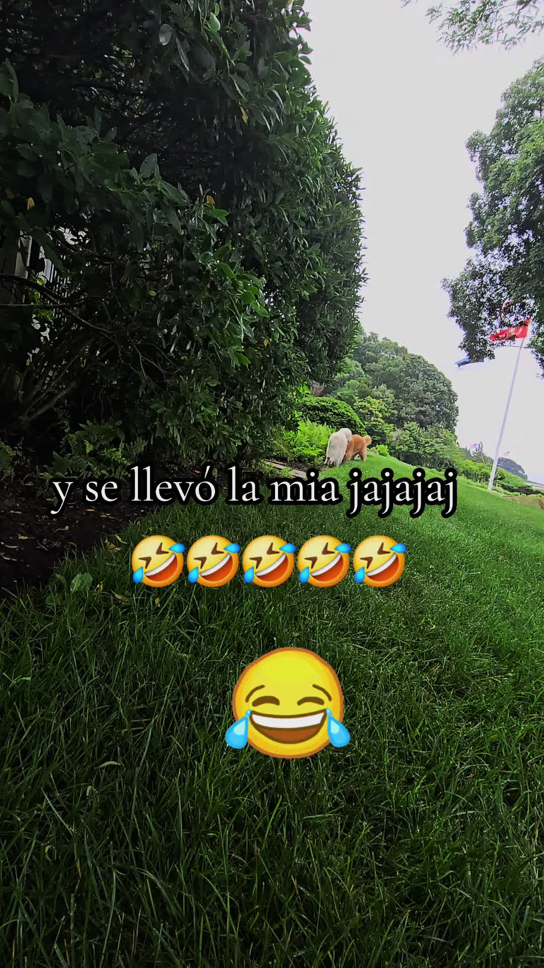 @yo solo soy un pecador