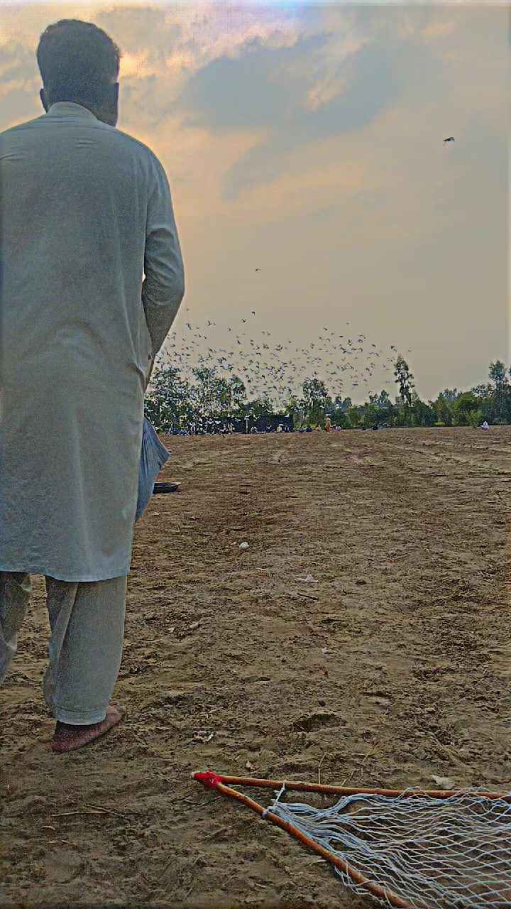 @عدیل رحمن لیہ وال کبوتر باز
