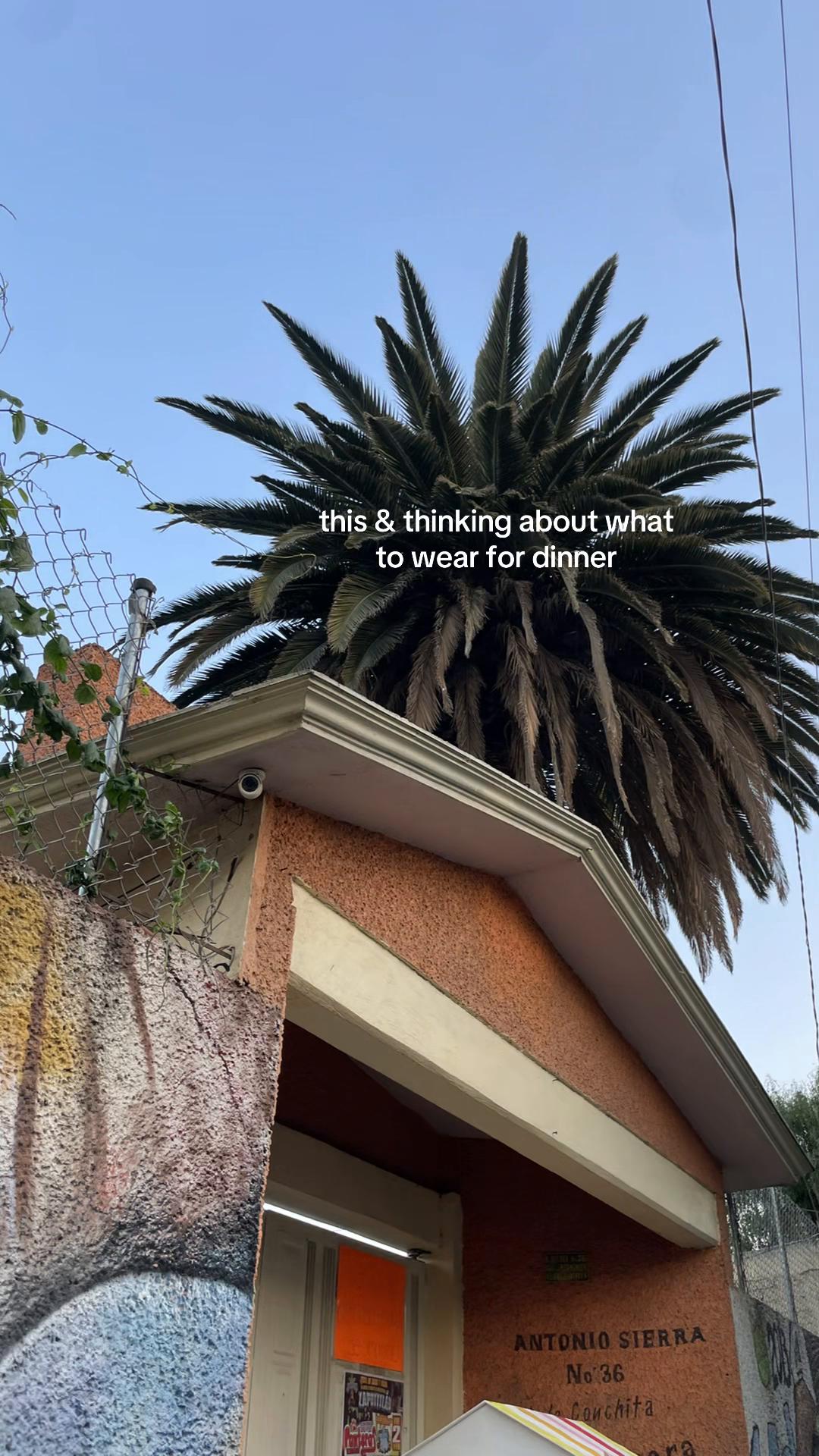 @user000