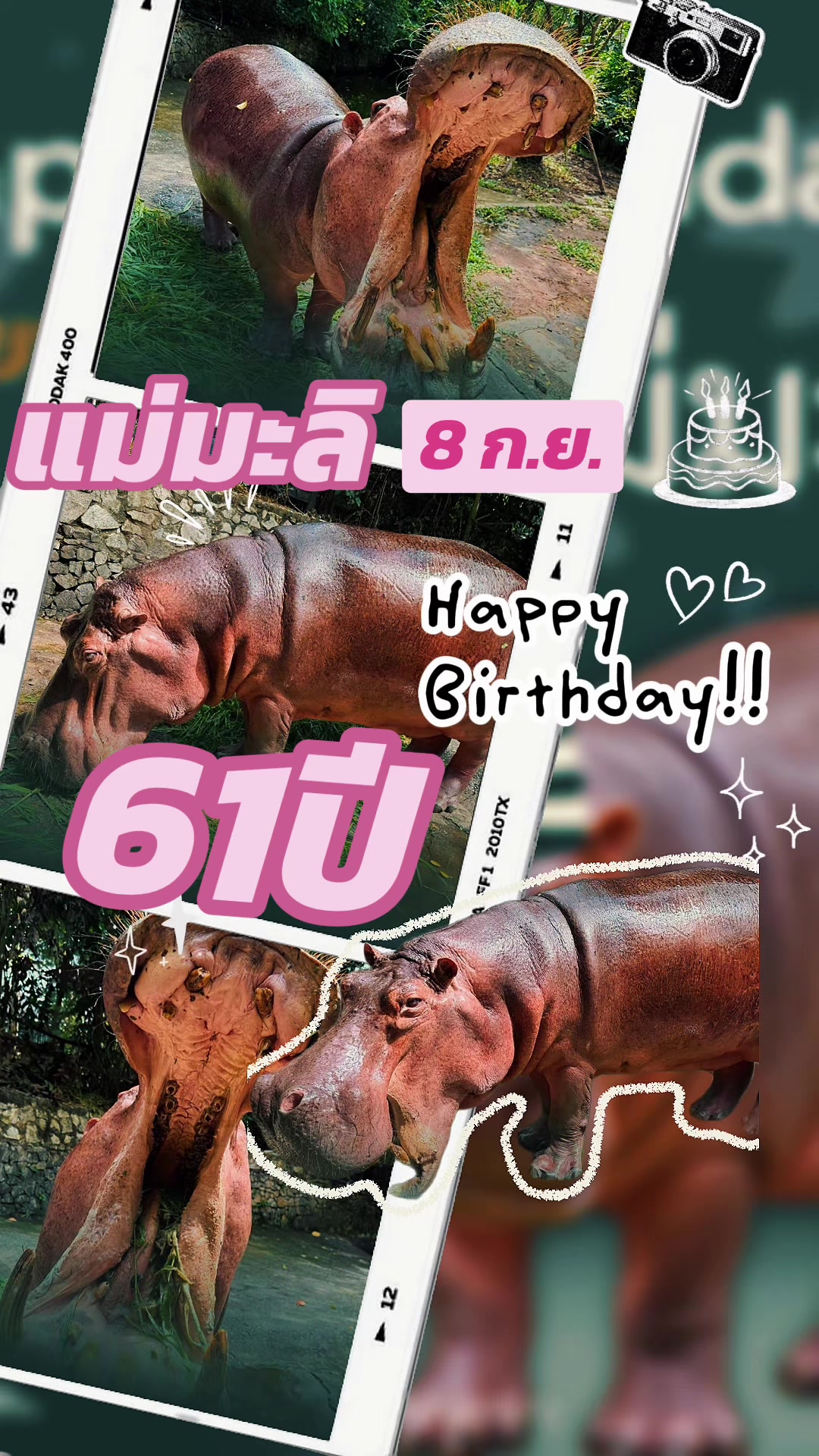@Zoothailand_ZPOT
