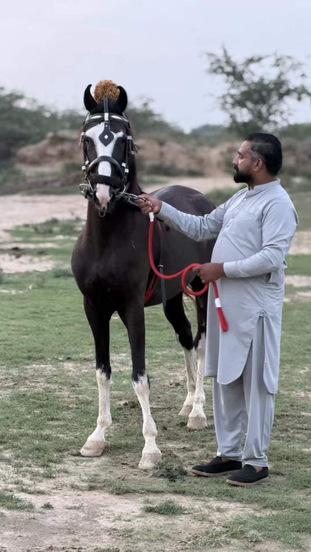 @Chaudhry jamil