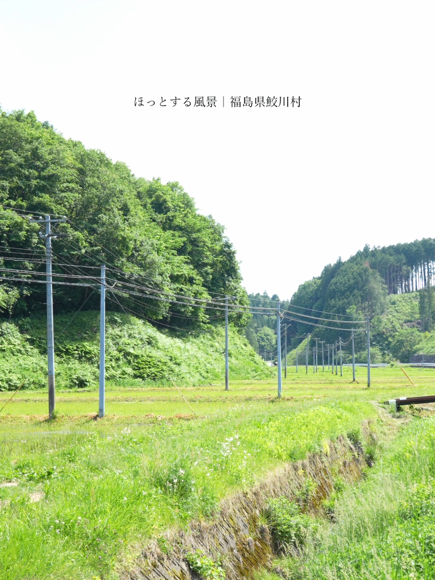 @ほんとの日本