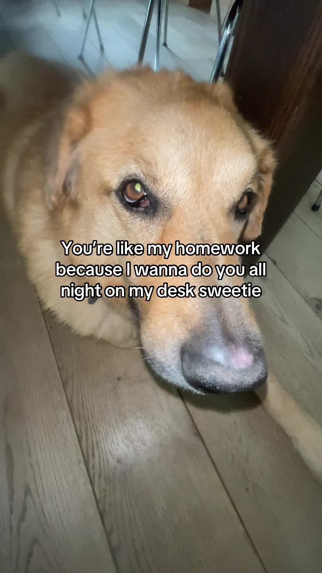 @Neo