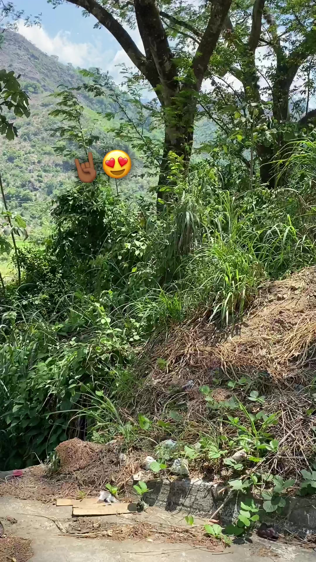 @Jxsell_xzzz
