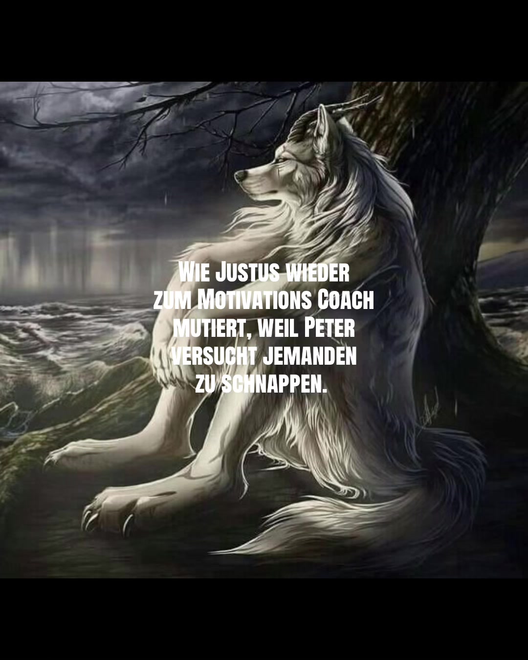 @🪷🦢📑