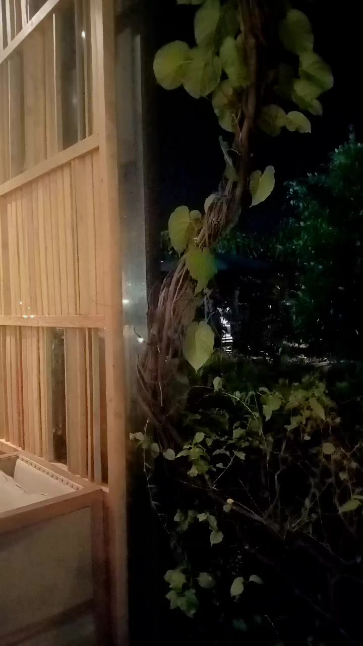 @Safira Dewi Maharani