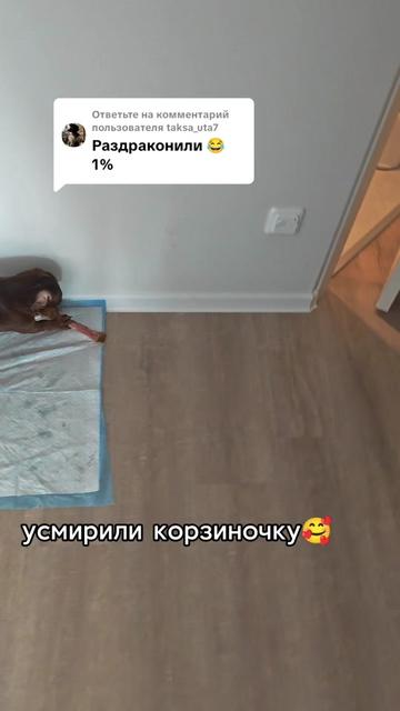 @Yᴀɴᴀ🇪🇪 ꜰʀᴏᴍ ᴇꜱᴛᴏɴɪᴀ